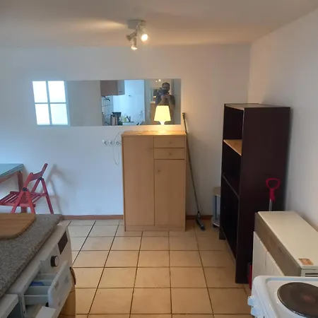 Liuis Holiday home Bad Ischl