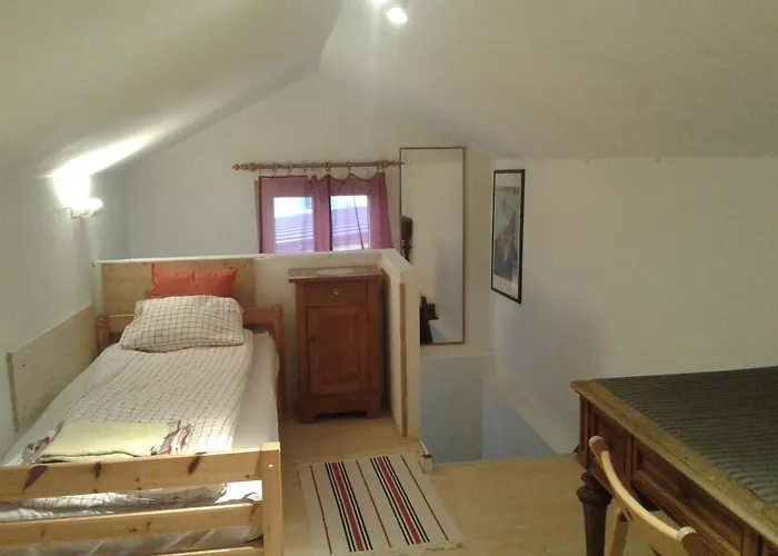 度假居 路易斯度假屋 巴德伊舍